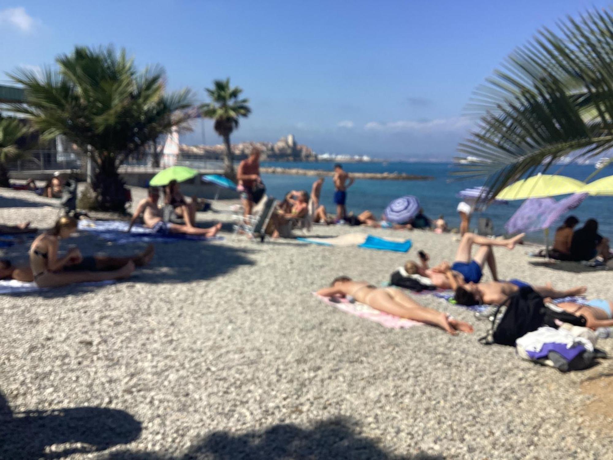 Ermitage studio, front de mer, plage 200m Antibes Eksteriør billede